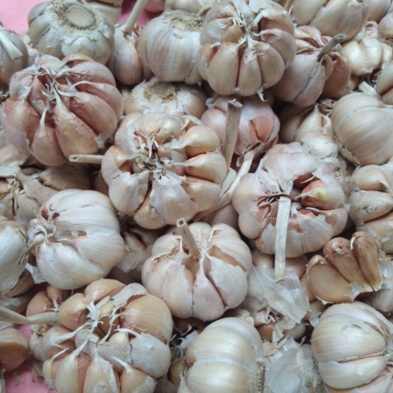 

bawang putih sico 250 gram