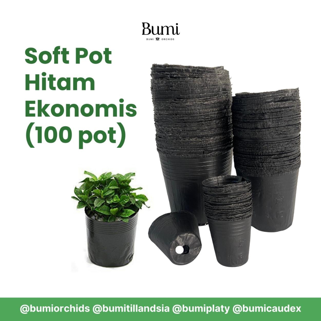 BUMI ORCHIDS SOFT POT HITAM (100 pot) EKONOMIS anggrek tanaman transparan plastik ukuran 1.5 1.7 2.5