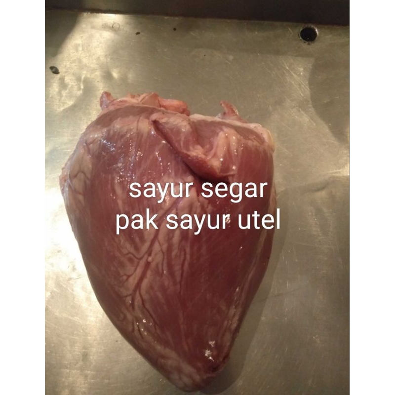 

jantung sapi 500grm