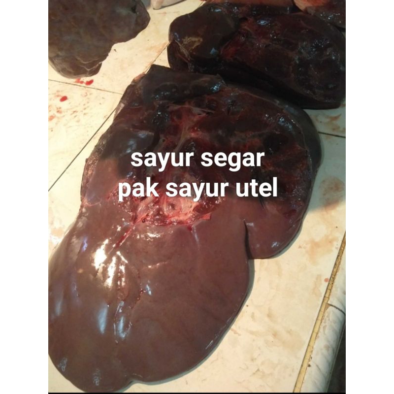 

Ati sapi 500gram