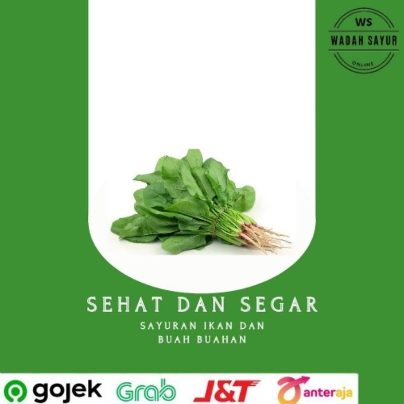 

Daun Bayam Segar ( 1 Ikat ) | Wadah Sayur Bogor