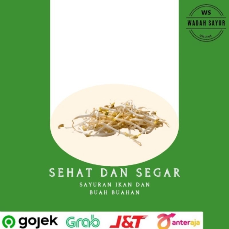 

Tauge/Toge Segar ( 500 Gram ) | Wadah Sayur Bogor