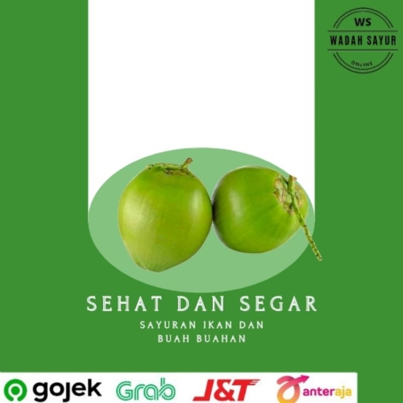 

Kelapa Muda Segar ( 1Butir ) | Wadah Sayur Bogor