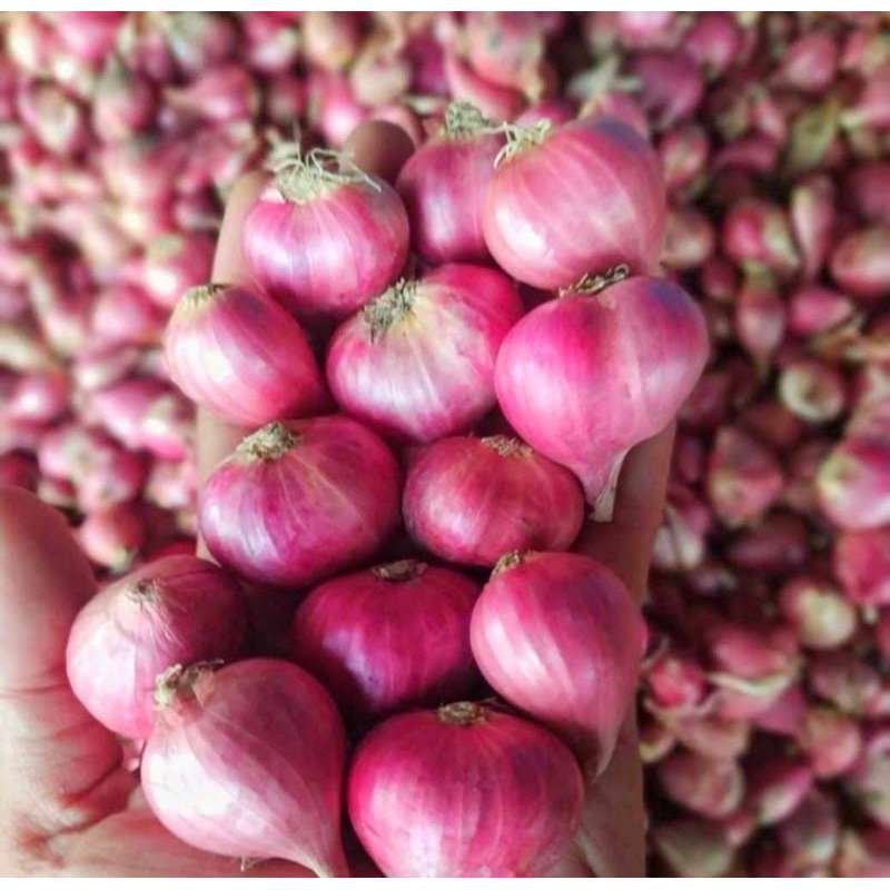 

bawang merah brebes 250 gram/brebes 250 gram/ murah/bawang/diskon