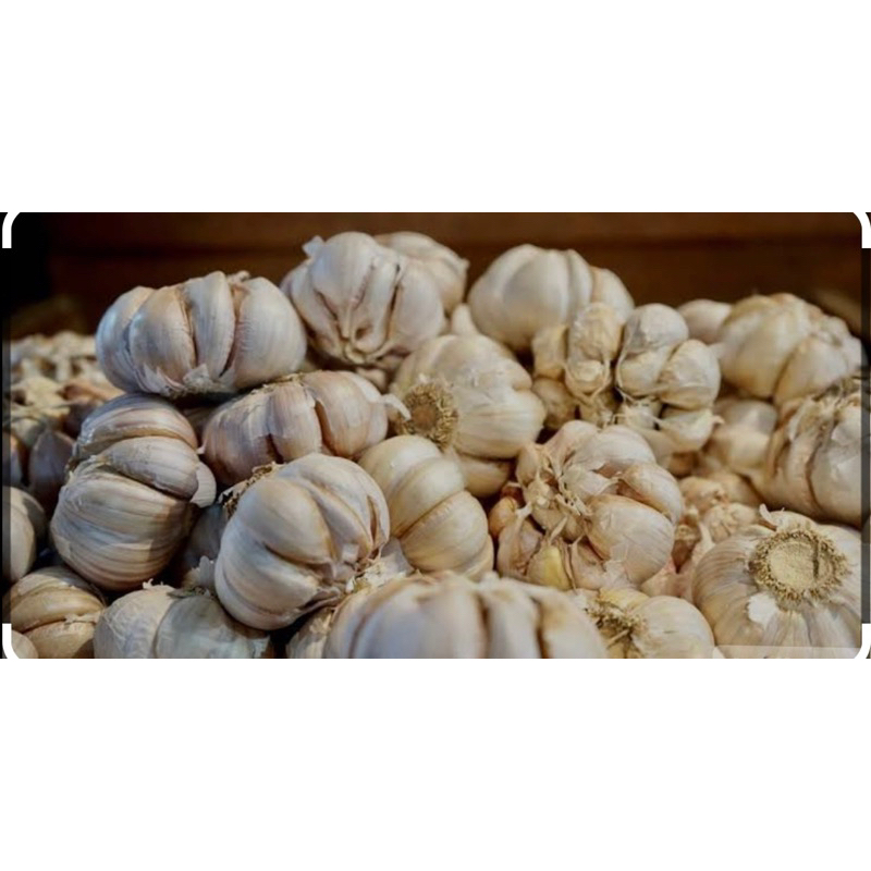 

bawang putih 500 gram/ bawang/ bawang murah/ bawang diskon/ bawang bagus/ bawang baru