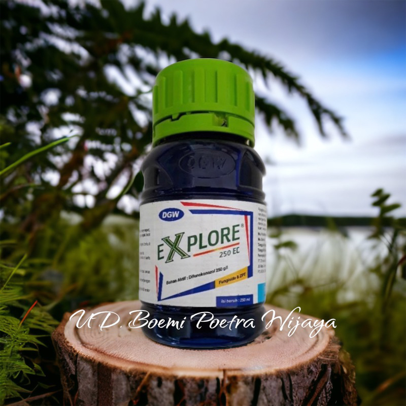 FUNGISIDA DGW EXPLORE 250EC