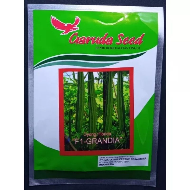 Bibit/benih oyong/gambas 10gram garuda seed