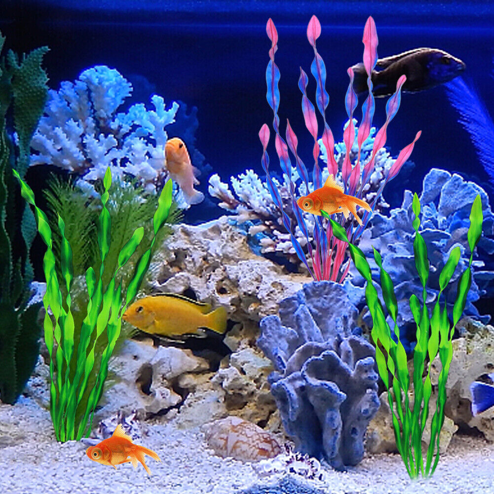 Tanaman Panjang Aquarium, tanaman aquarium panjang, ornamen aquarium tanaman panjang, tanaman aquari