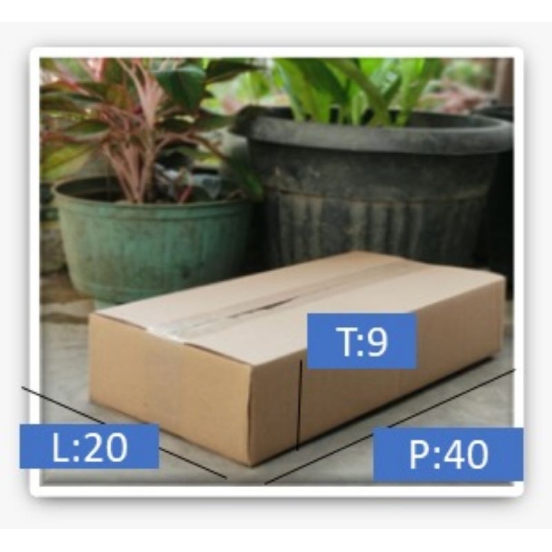 

CARTON BOX Size:40X20X9