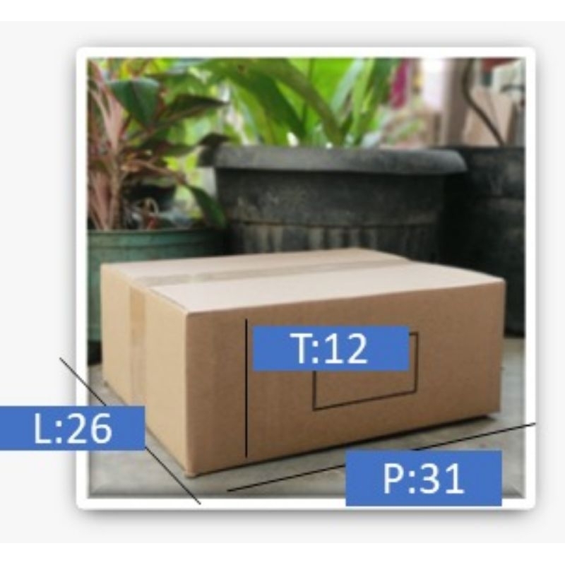 

CARTON BOX Size:31x2612
