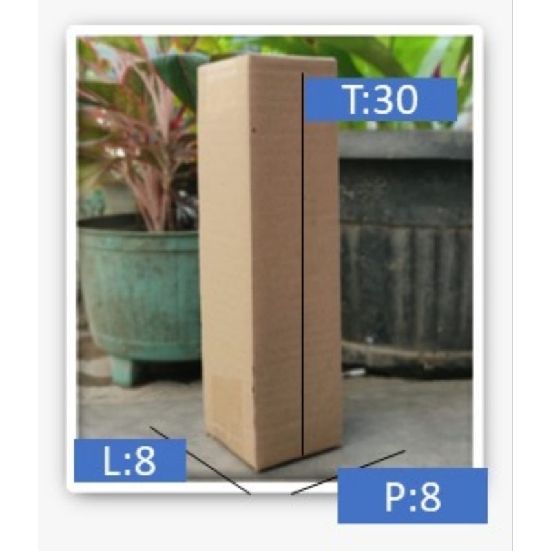 

CARTON BOX Size:8X8X30