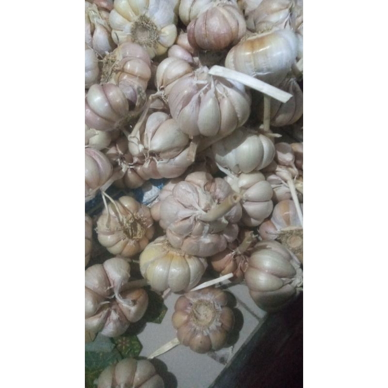 

Bawang putih