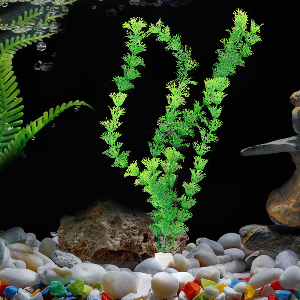 Tumbuhan Kriting aquarium, Tumbuhan plastik kriting aquarium, tumbuhan kriting panjang aquarium, tum