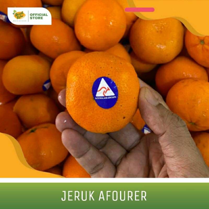 

JERUK AFOURER IMPORT