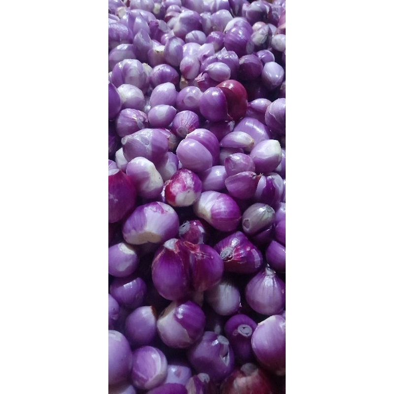 

Bawang Merah Kupas Segar 1KG
