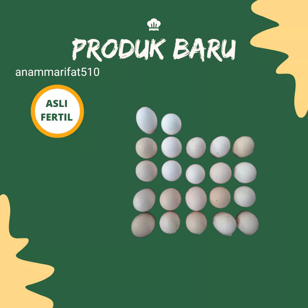 Telur Ayam Kampung Ras Petelur Fertil