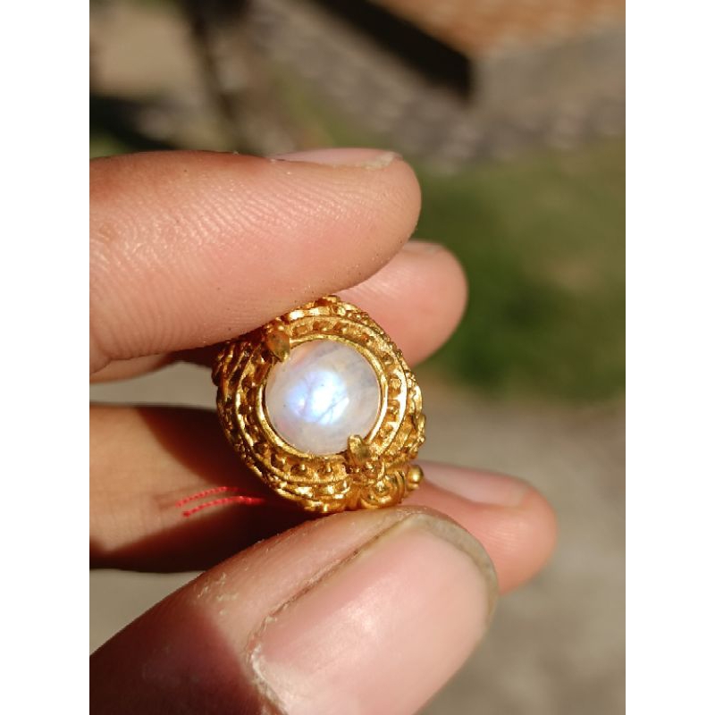 cincin biduri laut