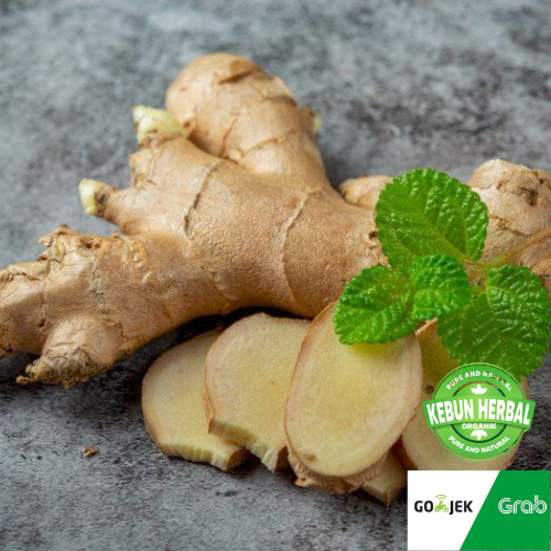 kunyit putih koneng bodas kunyit putih kunyit 1kg