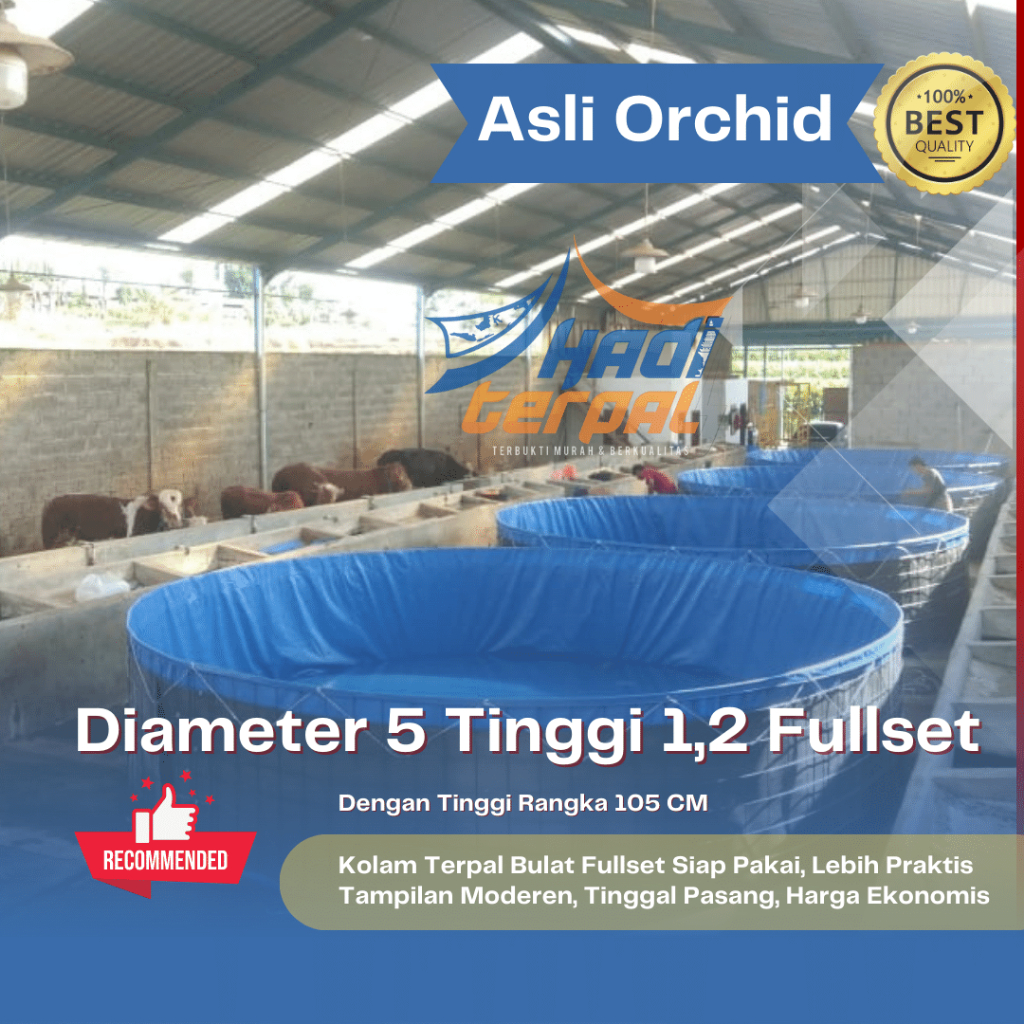 Kolam Terpal Bulat Fullset diameter 5 tinggi 1,2 orchid kolam siap pakai kolam terpal ukuran jumbo