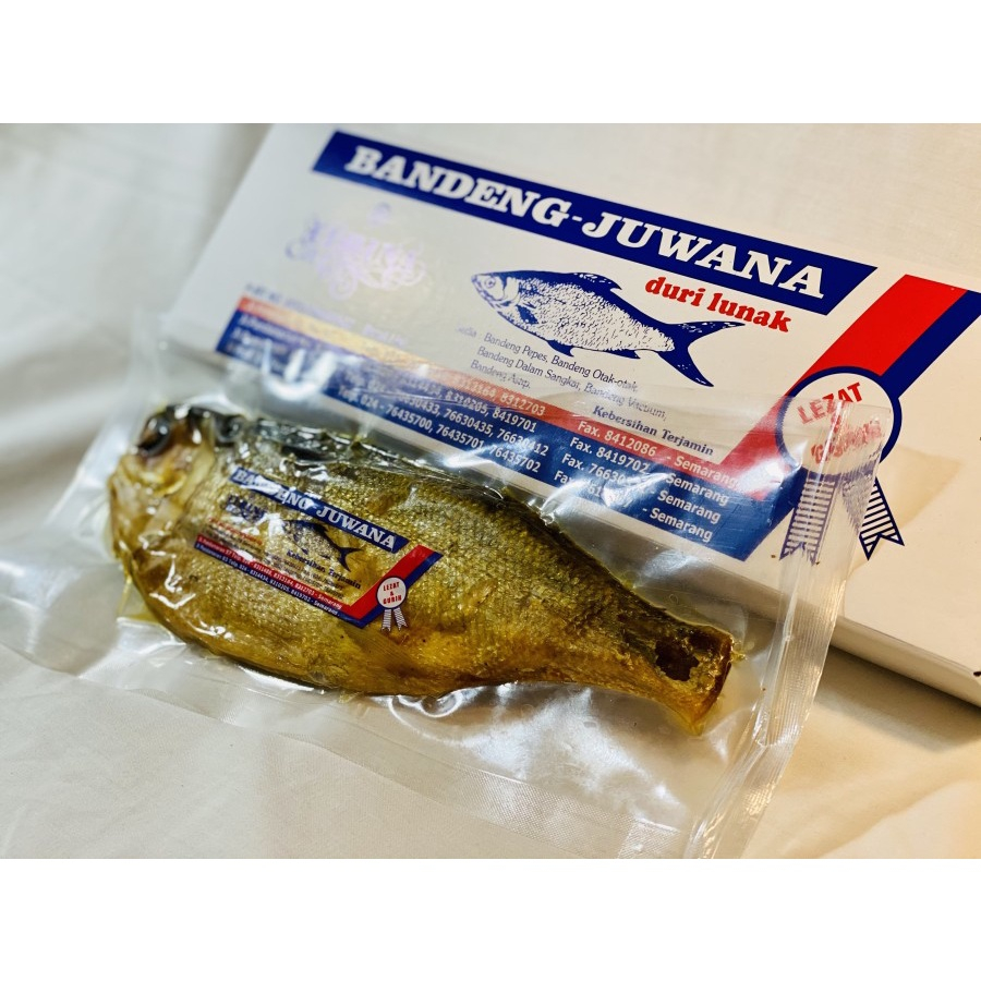 

Bandeng juwana elrina vacuum special 1 ekor