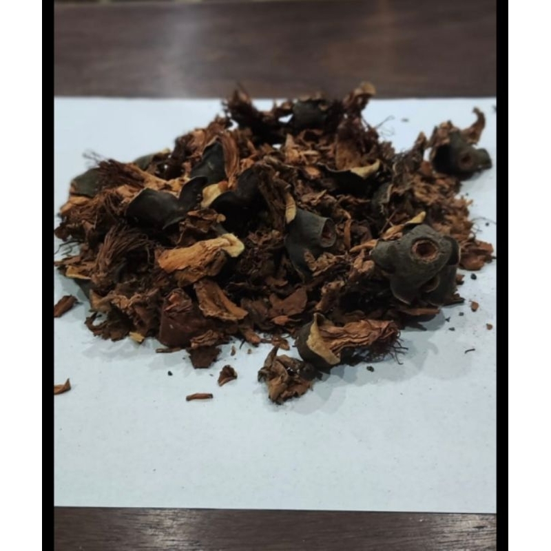 

木棉花 MU MIAN HUA