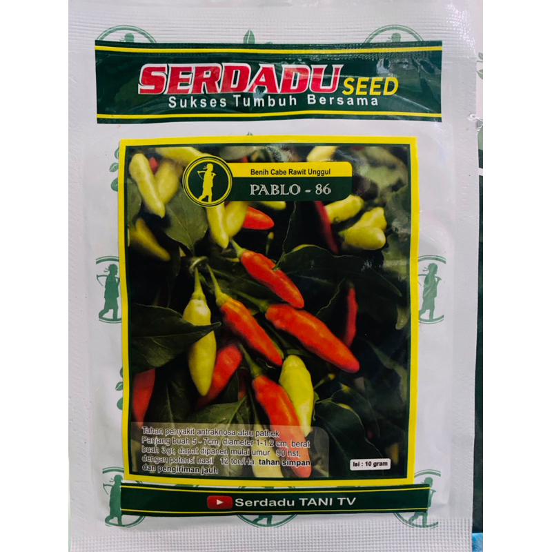 Benih cabe Rawit Unggul PABLO - 86 Kemasan 10Gr