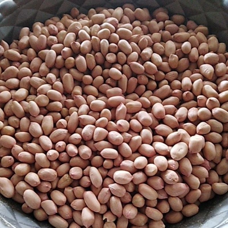 

kacang tanah 250gr, 500gr dan 1000gr. kacang Tuban 1/4 kg, 1/2 kg dan 1 kg