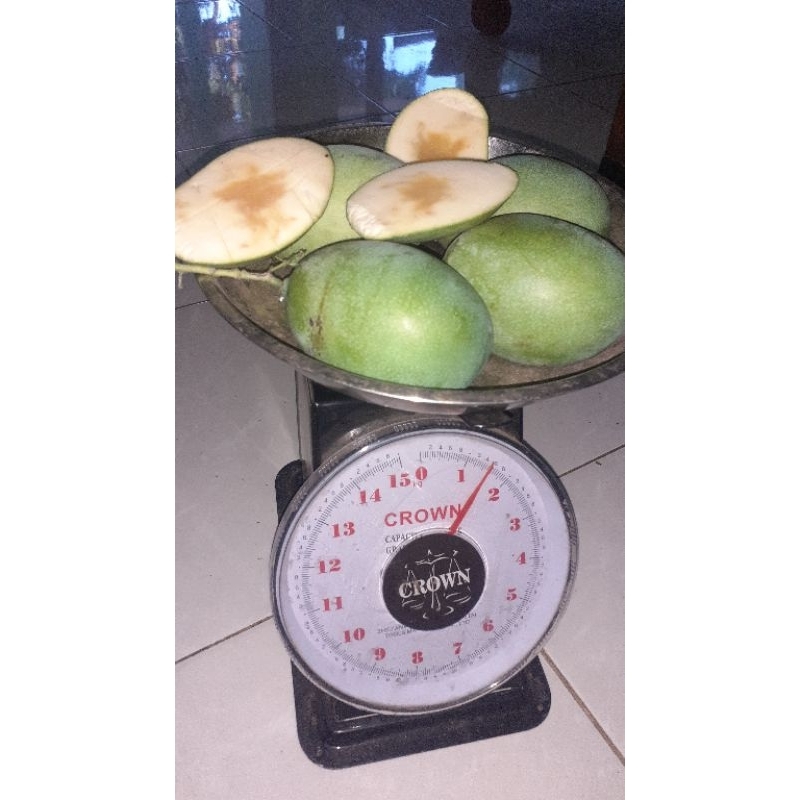 

mangga manalagi/mangga pencit/mangga rujak 500gr