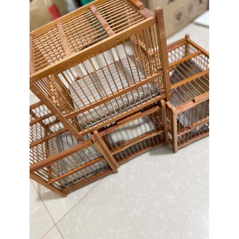 kandang mandi pleci / mata putih import