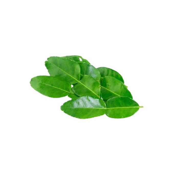 

Daun Jeruk Organik 100gr-Jakbar