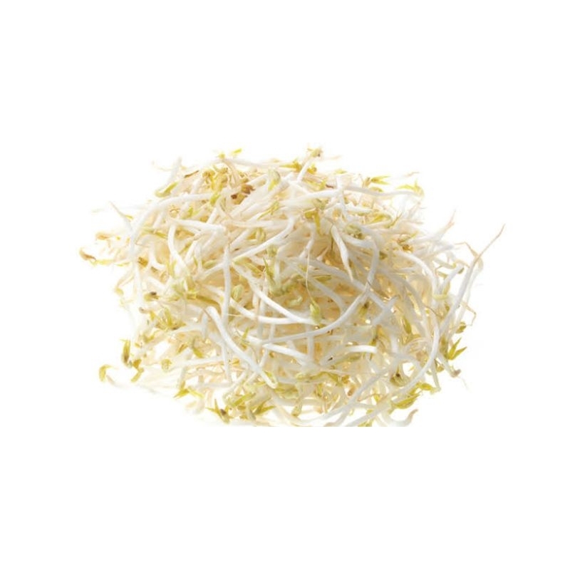 

Tauge Toge Organik || 300gram || Bean Sprout Organic