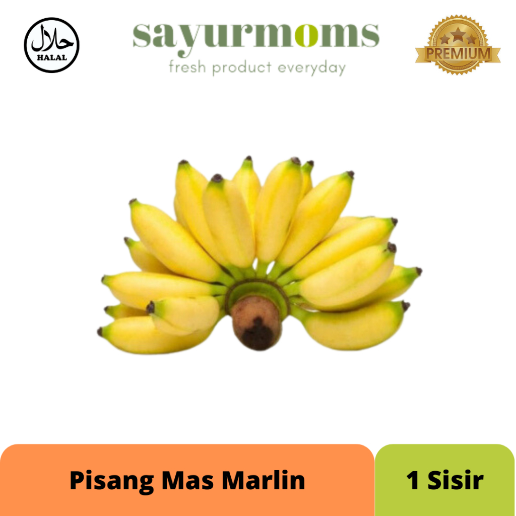 

Pisang Mas Marlin