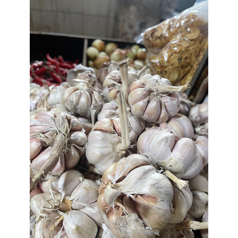 

bawang putih sicolbawang putih murah