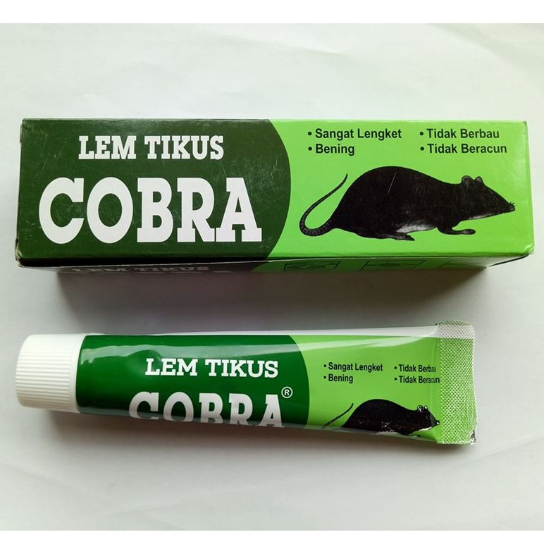 Lem tikus/Lem tikus super lengket