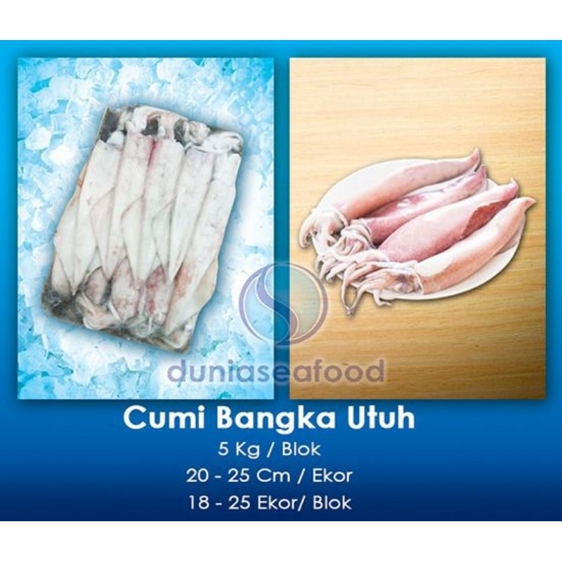 

Cumi Bangka Utuh 5 kg/blok 20-25 cm/ekor 18-25 ekor/blok