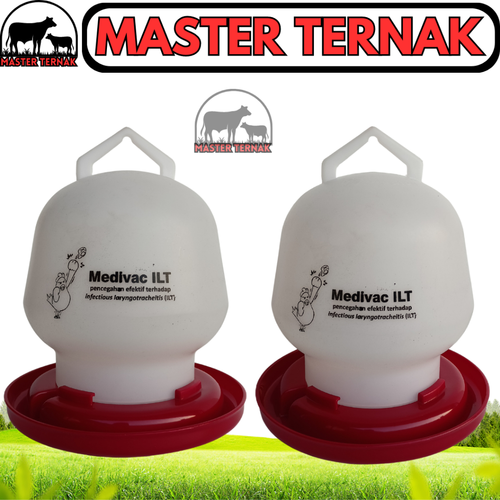 TEMPAT MINUM AYAM 2 LITER - Alat Minum Ayam MEDION