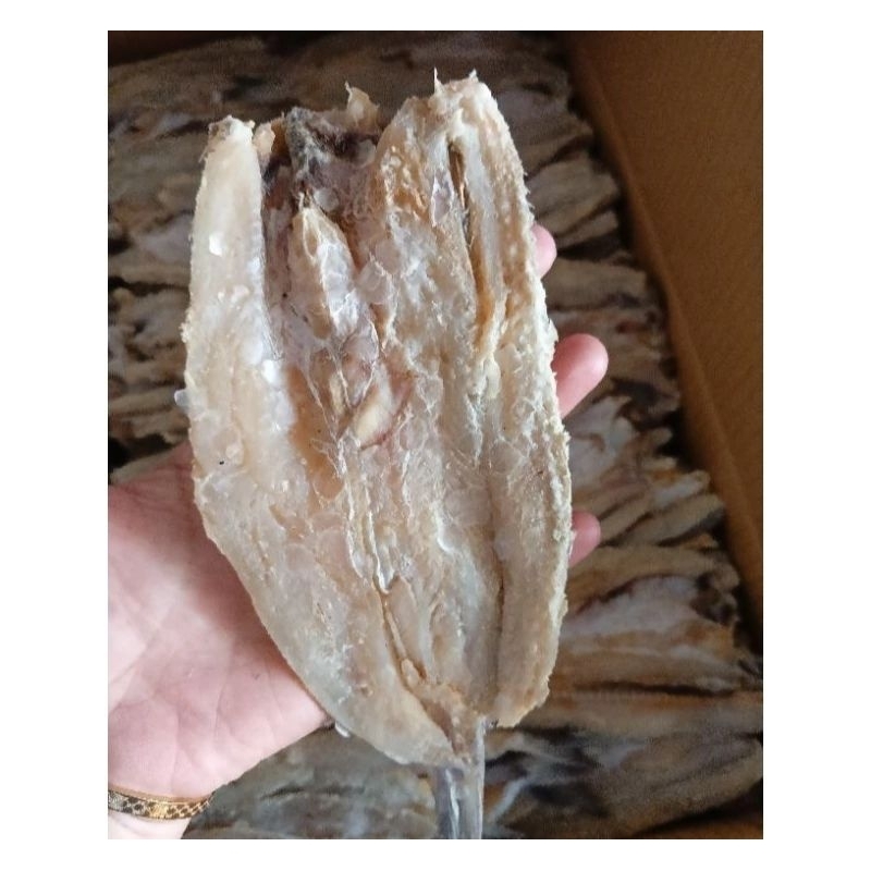 

TERMURAH Ikan Bloso Asin 250 gram