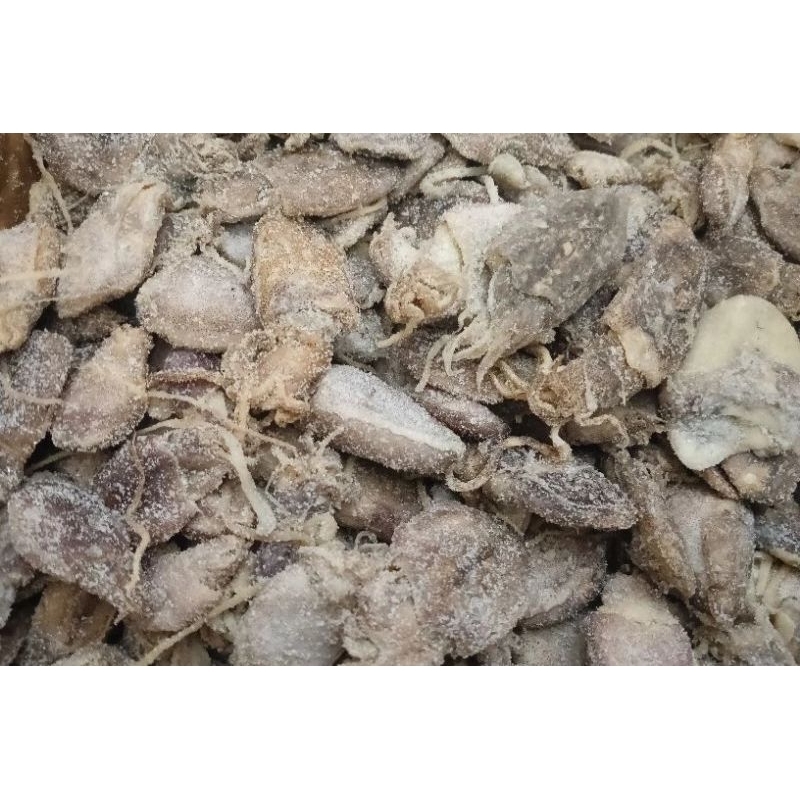 

Cumi asin Bekutak 250 gram / Bekotak