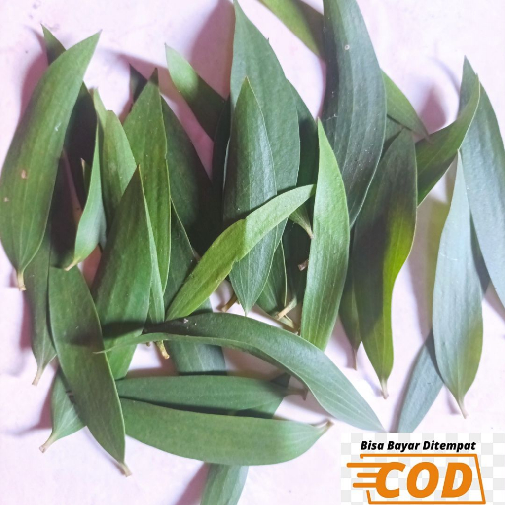 

DAUN MINYAK KAYU PUTIH (500g)