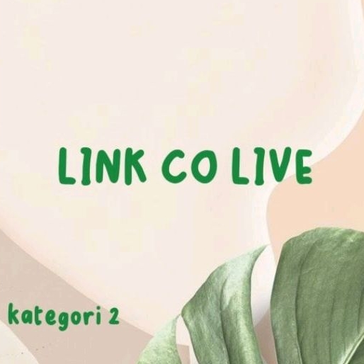 

Link CO 2 kg