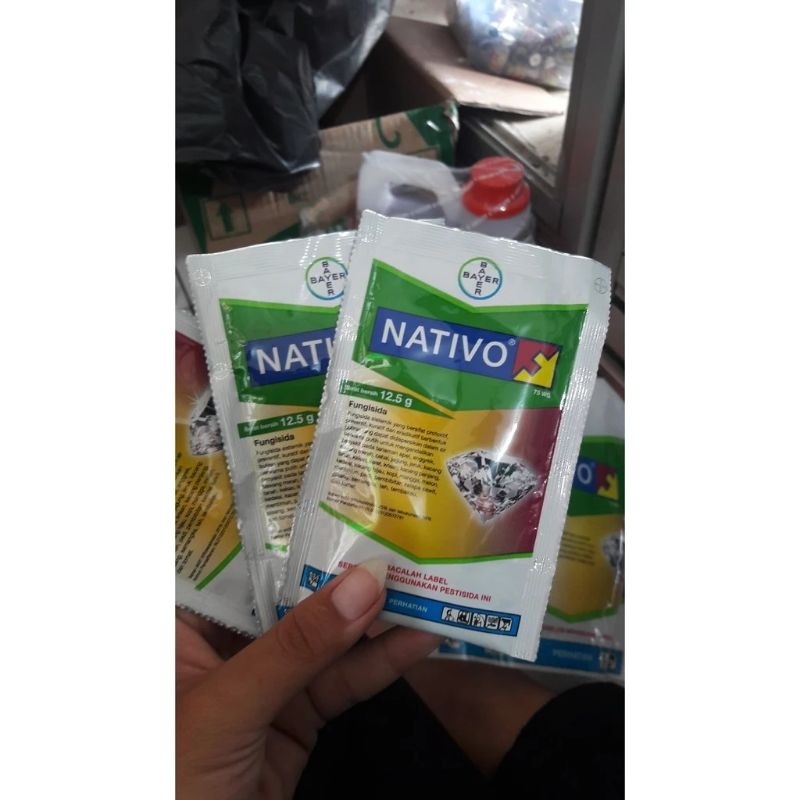nativo 12,5gram fungisida