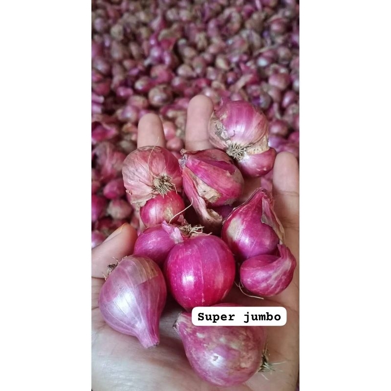 

bawang merah