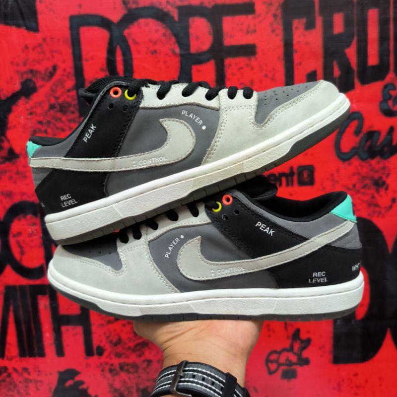 Nike Dunk Low SB Camcorder