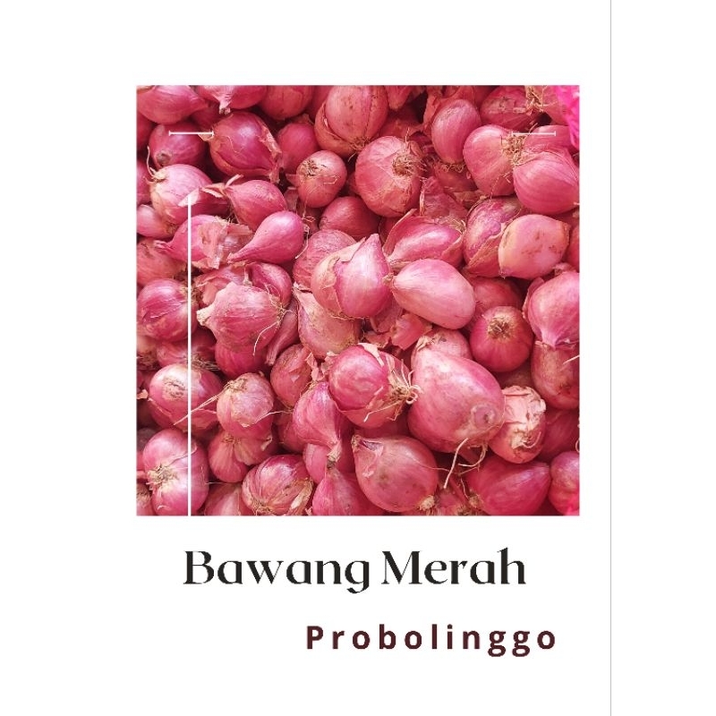 

Bawang Merah Probolinggo 1kg (1000gram)