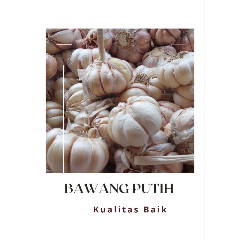 

Bawang Putih 250gram (Seperempat kilo)