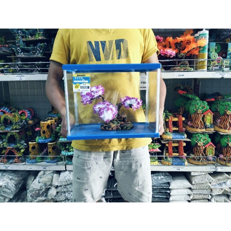 Tank Aquarium Aquascape BAHARI SIZE SMALL + PACKING KAYU