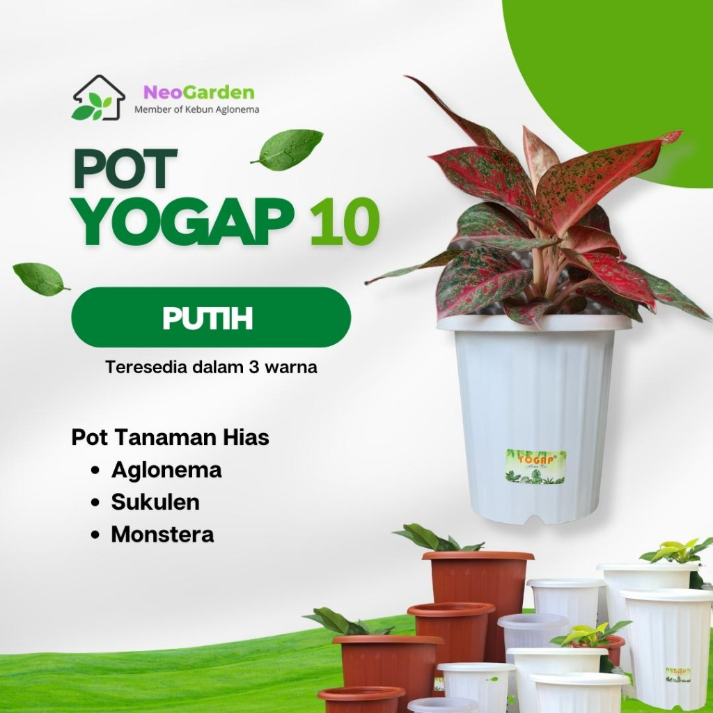 POT YOGAP 10 - Pot untuk bunga tanaman hias  pot plastik ukuran 10 warna merah bata putih bening tra