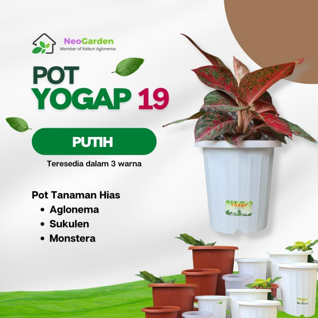 POT YOGAP 19 - Pot untuk bunga tanaman hias  pot plastik ukuran 19 warna merah bata putih bening tra