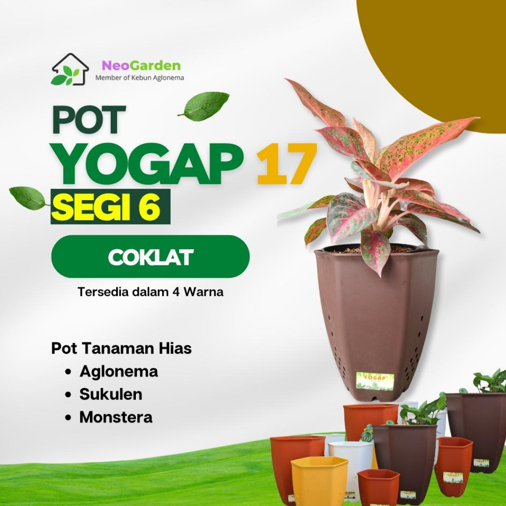 POT SEGI 6 YOGAP 17 - Pot plastik segi enam ukuran 17 murah awet untuk bunga tanaman hias kaktus agl