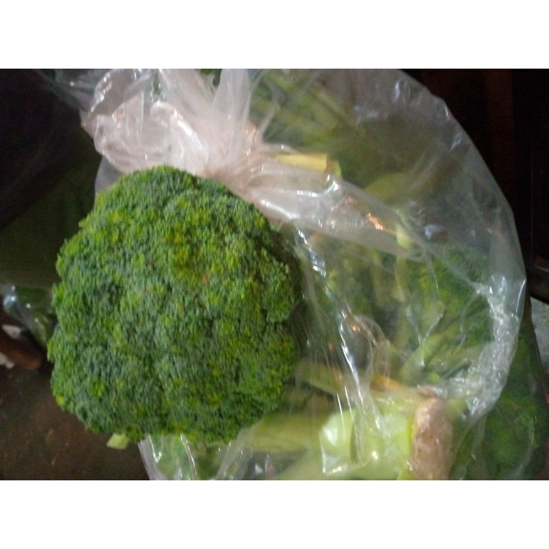 

Brokoli 1 kg